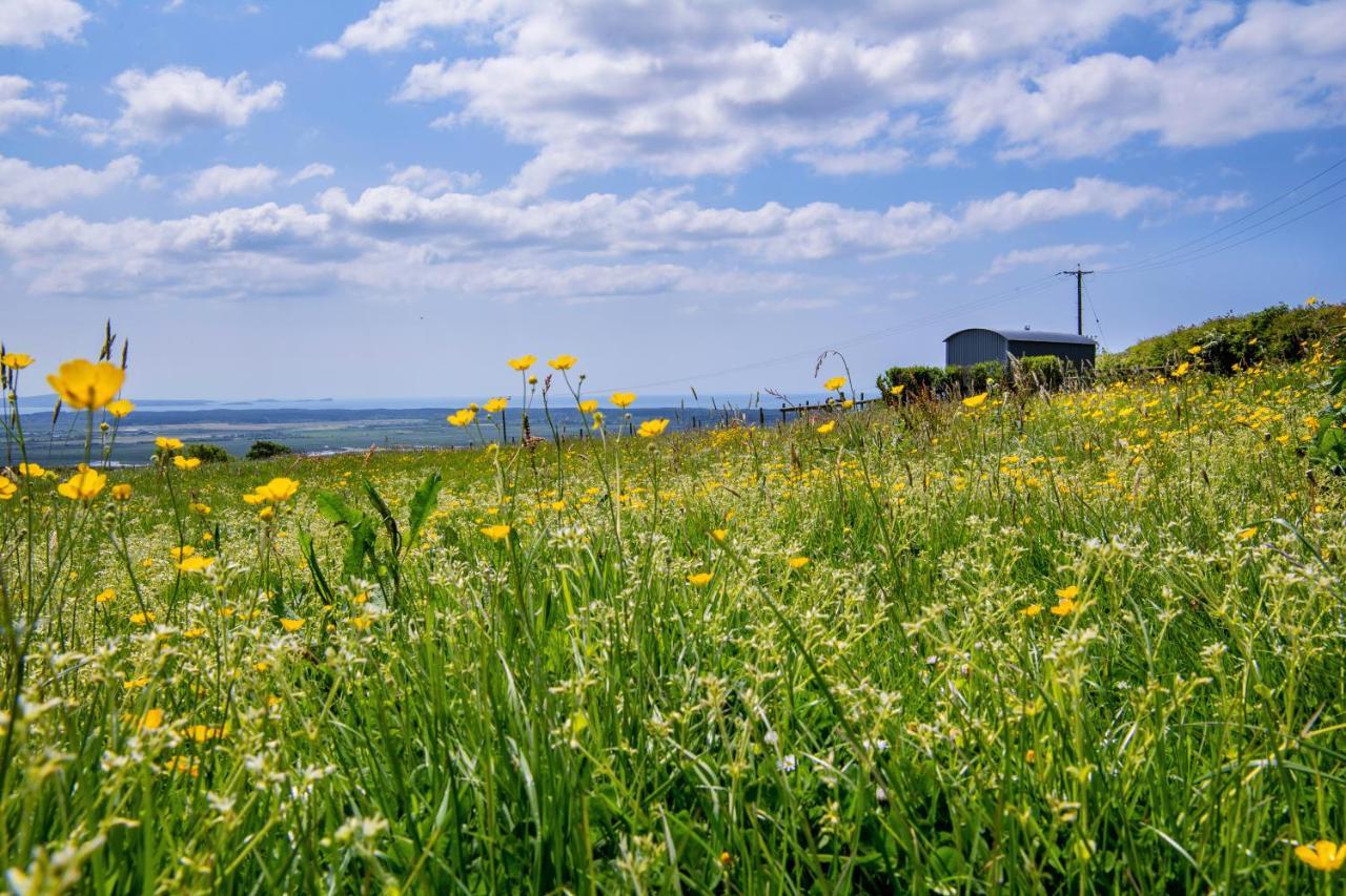 The Big Cwtch Shepherd'S Hut Kidwelly Экстерьер фото